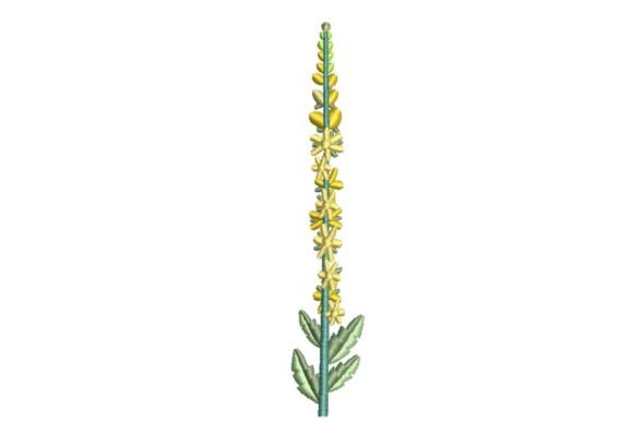 Agrimony Wildflower: A Designer’s Review for Branding