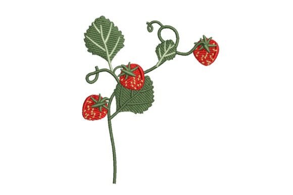 Strawberry Vine: A Sweet Embroidery Review